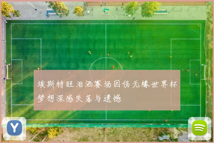 埃斯特旺泪洒赛场因伤无缘世界杯梦想深感失落与遗憾