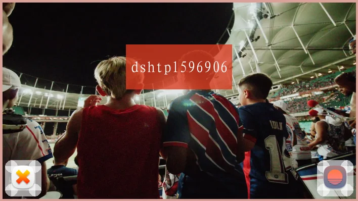 dshtpl596906