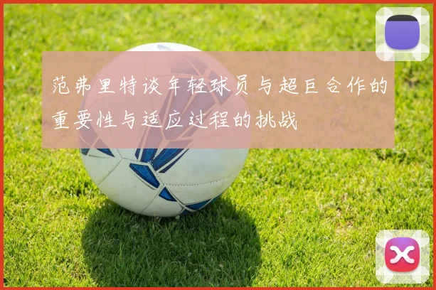 范弗里特谈年轻球员与超巨合作的重要性与适应过程的挑战