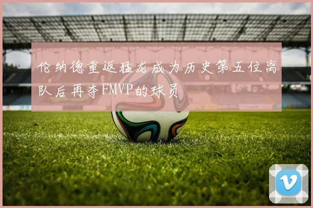 伦纳德重返猛龙成为历史第五位离队后再夺FMVP的球员