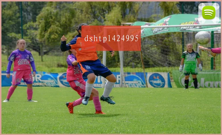dshtpl424995