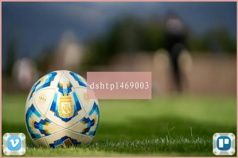 dshtpl469003