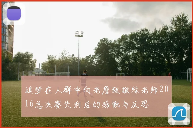 追梦在人群中向老詹致敬绿老师2016总决赛失利后的感慨与反思